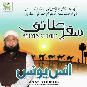 Safar E Taif image