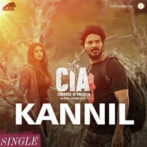 Kannil Kannil - Comrade In America (CIA) image
