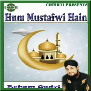 Hum Mustafwi Hain image