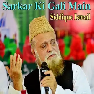 Sarkar Ki Gali Main image
