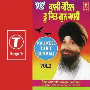 Kali Koel Tu Kit Gun Kali (Vol. 2) image
