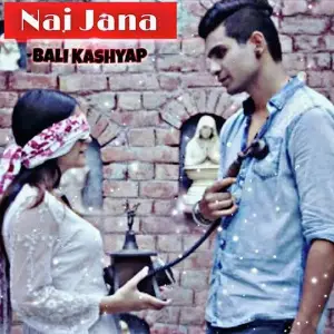 Nai Jaana image