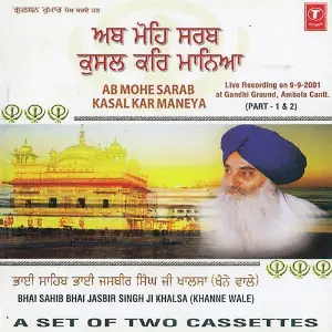 Ab Mohe Sarab Kasal Kar Maneya (Part 2) image