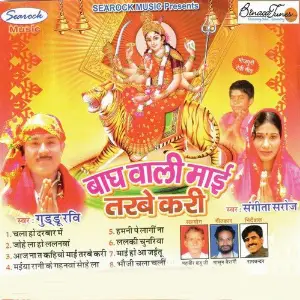 Baagh Waali Maai image