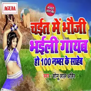 Chait Me Bhauji Bhaili Gayab Ho 100 No Ke Saheb image