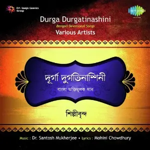 Durga Durgatinashini Split Tracks image