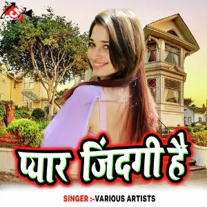 Pyar Jindgi Hai image