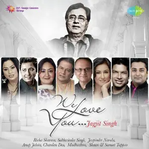 We Love You Jagjit Singh image