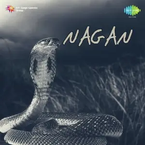 Nagan image