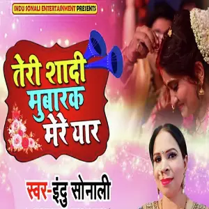 Teri Sadi Mubarak Mere Yaar image