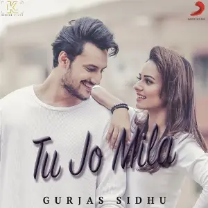 Tu Jo Mila image