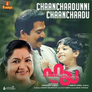 Chaanchaadunni Chaanchaadu (From Haya) image
