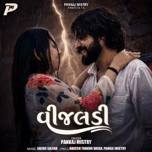 Vijaldi image