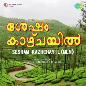 Sesham Kazhchayil image
