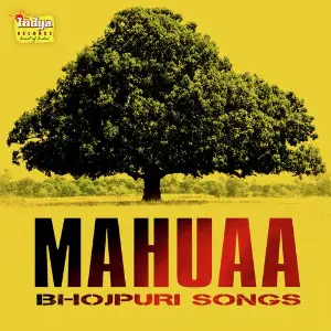 Mahuaa image