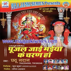 Pujal Jai Maiya Ke Charan Ho image