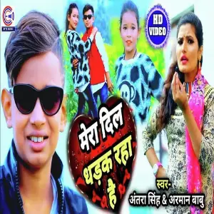 Mera Dil Dhadak Raha Hai image