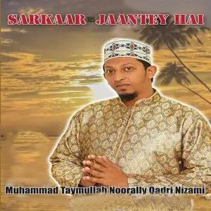 Sarkaar Jaantey Hai image