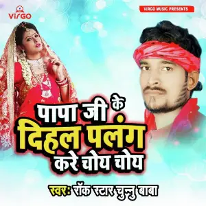Papa Ji Ke Dihal Palang Kare Choye Choye image