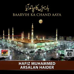 Baarvi Ka Chand Aaya, Vol. 1 image