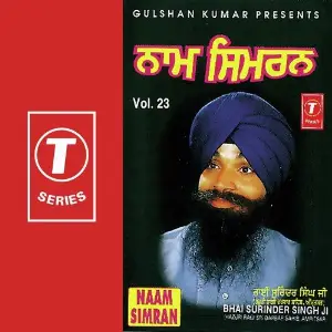 Naam Simran (Vol. 23) image