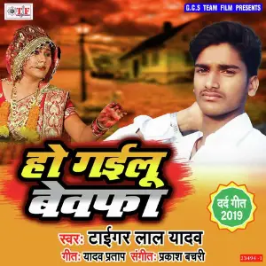 Ho Gailu Bewafa image