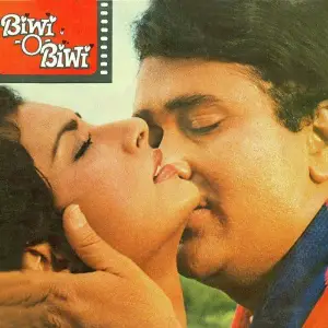Biwi-O-Biwi image
