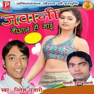 Jawani Jiyan Ho Jai image