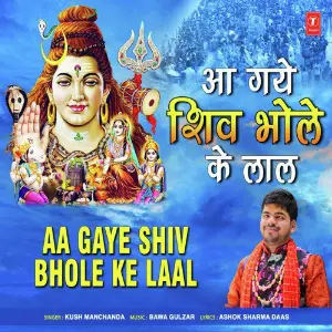 Aa Gaye Shiv Bhole Ke Laal image