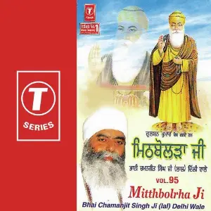 Mitthbolrha Ji (Vol. 95) image