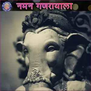 Naman Ganarayala image