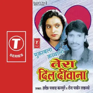 Tera Dil Deewana image