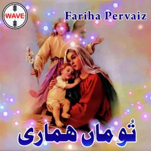 Tu Maa Hamari image