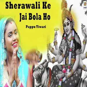 Sherawali Ke Jai Bola Ho image
