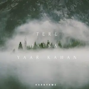 Tere Jaisa Yaar Kahan image