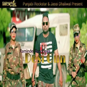 Desi Gun image