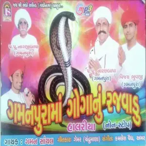 Gaman Pur Maa Gogaji Nu Rajvadu image