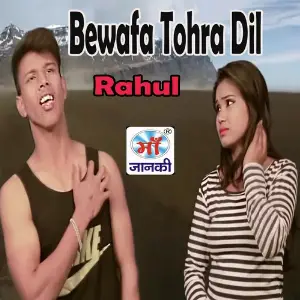Bewafa Tohra Dil image