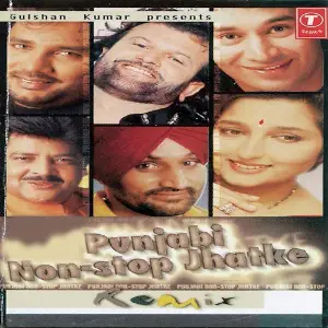 Punjabi Non Stop Jhatke image