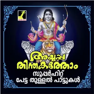 Ayyappathindakathom image