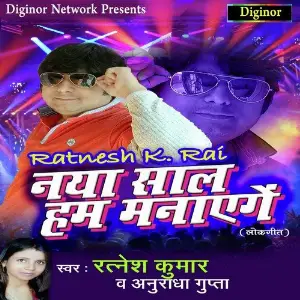 Naya Saal Hum Manayenge image