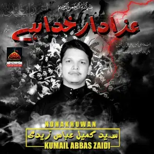 Azadar Khuda Hai image