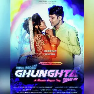 Tera Balam Ghunghta Thave Se image