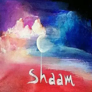Shaam - Single image