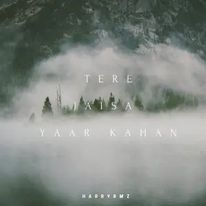 Tere Jaisa Yaar Kahan image