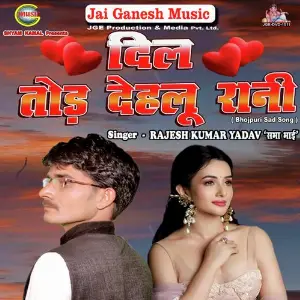 Dil Tod Dehlu Rani image