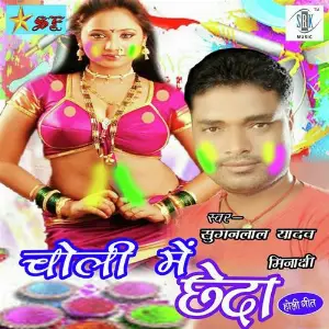 Choli Mein Cheda image