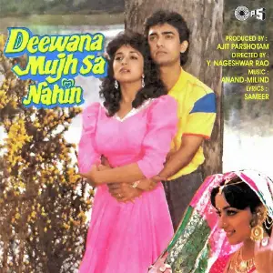 Deewana Mujh Sa Nahin image