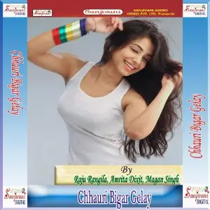 Chhauri Bigar Gelay image