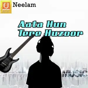 Aata Hun Tere Huzoor image